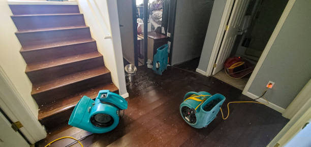 Best Emergency water damage restoration  in Goddard, KS