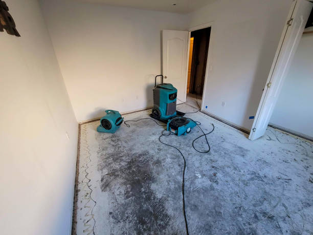 Best Basement water damage restoration  in Goddard, KS
