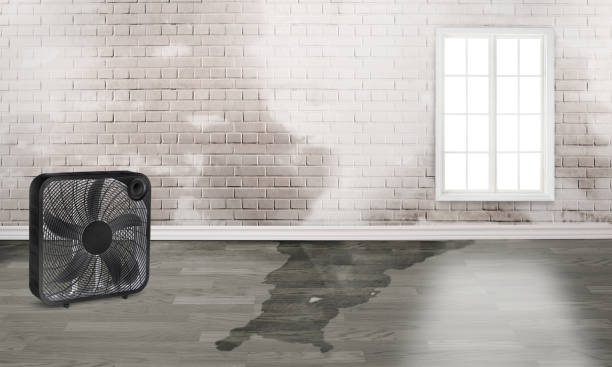 Best 24/7 water damage repair  in Goddard, KS