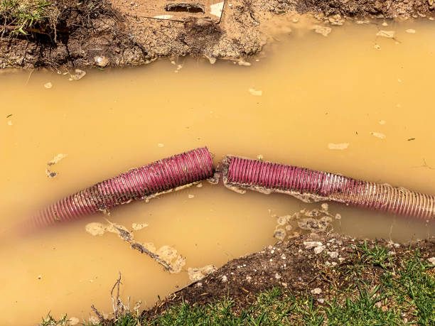 Local water damage restoration in Goddard, KS